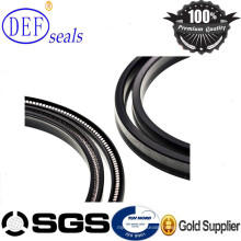 Outside Spring Energized Seals PTFE Spring Lip Seaqls